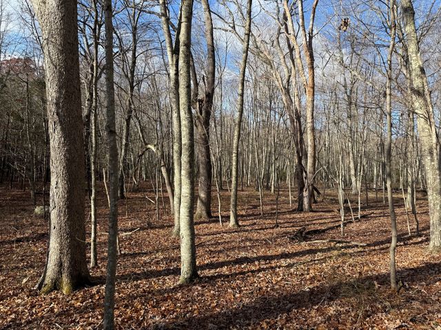 Chesterfield Road, East Lyme, CT 06333