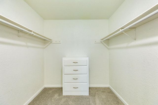 54 Forest Court, Lake Jackson, TX 77566