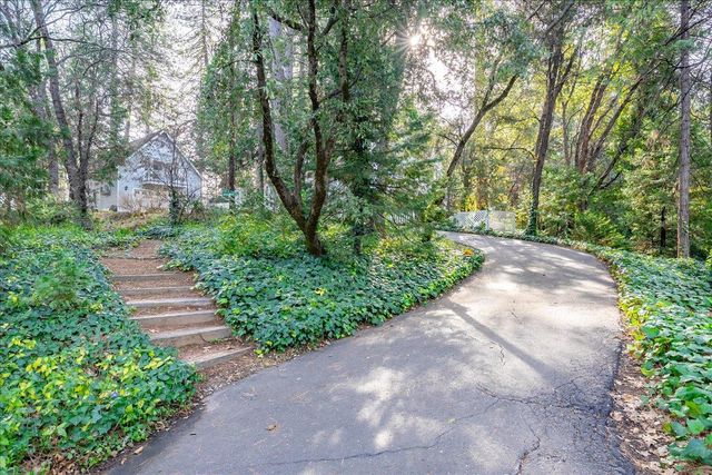 2920 Mount Danaher Rd, Camino, CA 95709