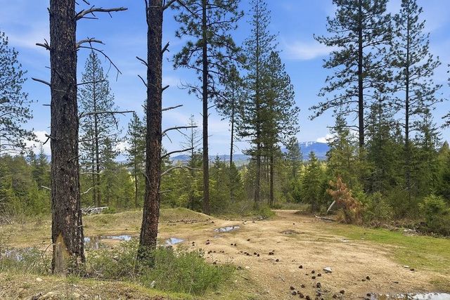 8300 E Lodge Pole Ln Ln, Chattaroy, WA 99003