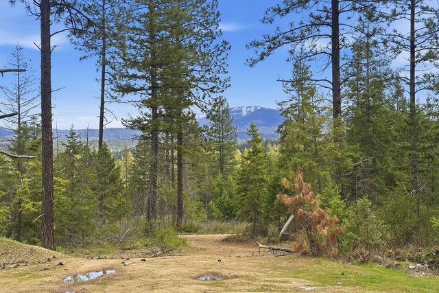 8300 E Lodge Pole Ln Ln, Chattaroy, WA 99003