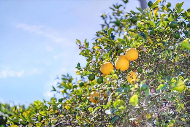 97 Logan Street, Watsonville, CA 95076