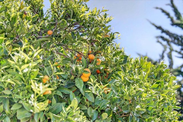 97 Logan Street, Watsonville, CA 95076