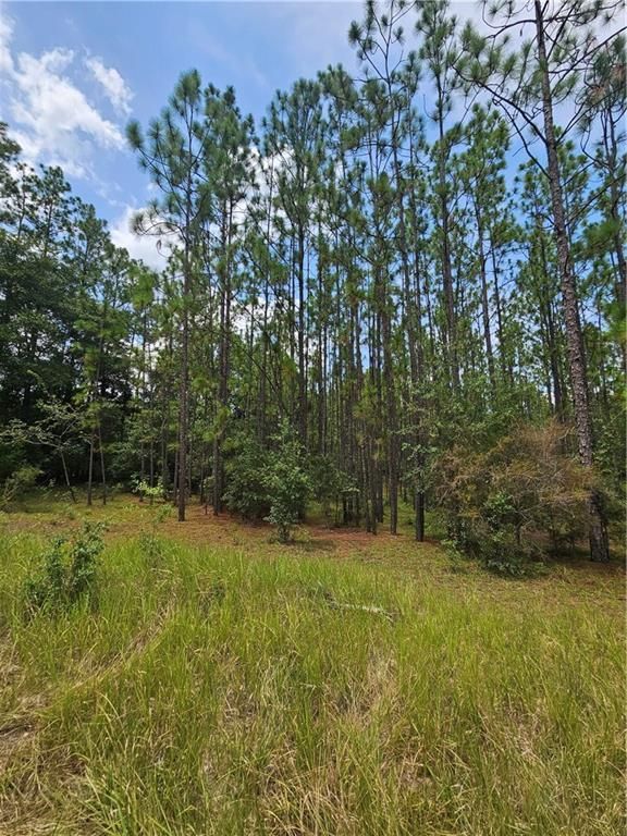 0 Spice Pond Drive, Eight Mile, AL 36613 — photo 2