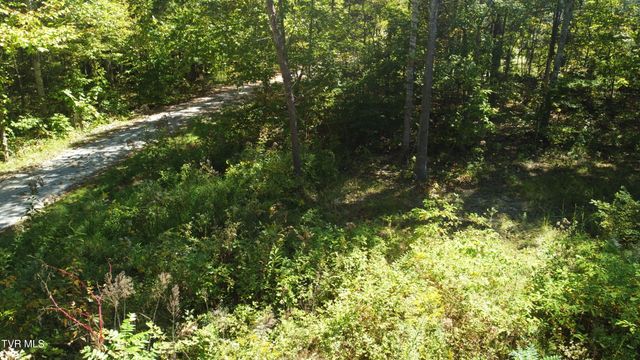 1ac McCullough Lane, Bulls Gap, TN 37711