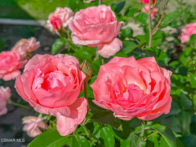 7847 Ranchito Avenue, Panorama City, CA 91402