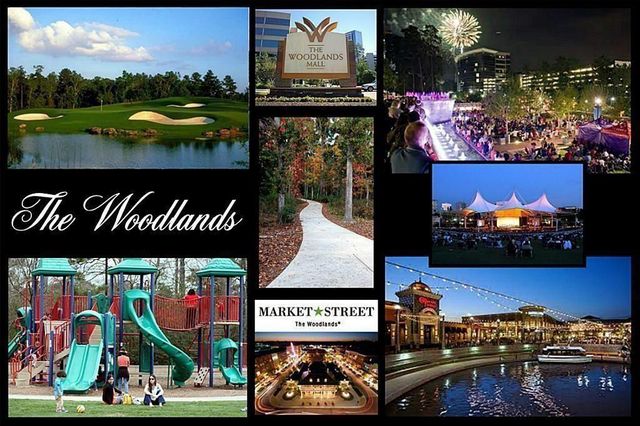 119 N Acacia Park Circle, Spring, TX 77382