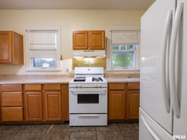 733 E MCCLURE Avenue, Peoria, IL 61603