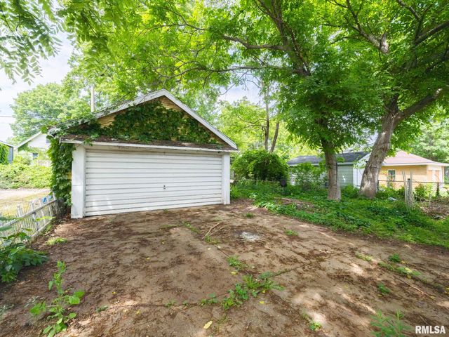 733 E MCCLURE Avenue, Peoria, IL 61603