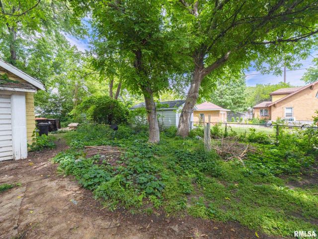 733 E MCCLURE Avenue, Peoria, IL 61603