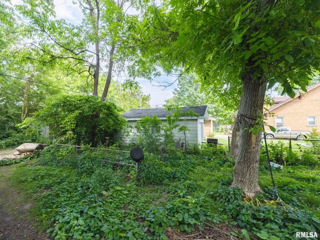 733 E MCCLURE Avenue, Peoria, IL 61603