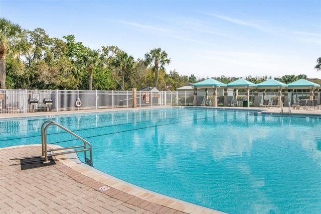 19331 HASKELL PLACE, Land O Lakes, FL 34638