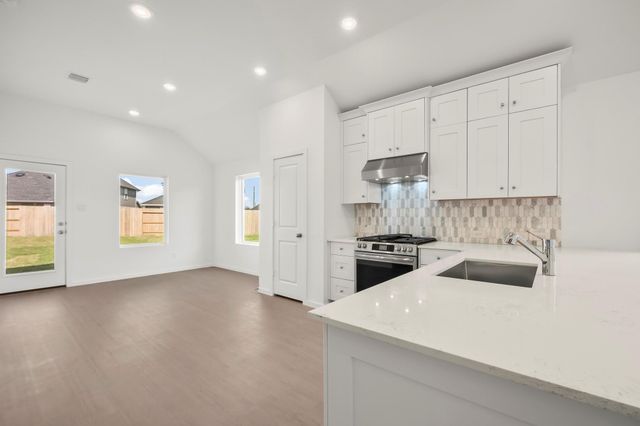 22202 San Lioni Lane, Hockley, TX 77447