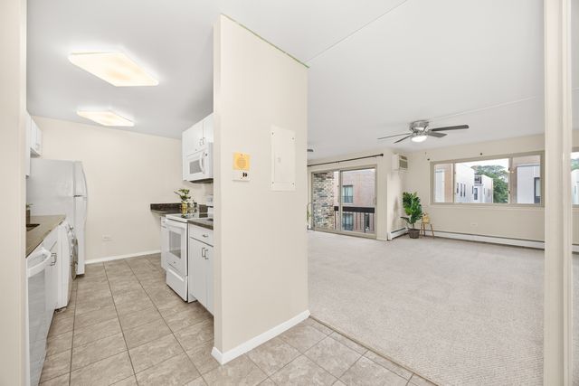 430 Home Avenue 303S, Oak Park, IL 60302