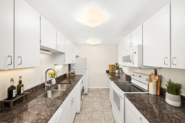 430 Home Avenue 303S, Oak Park, IL 60302