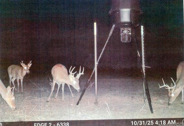 1173 Charco Rd, Tuleta, TX 78162