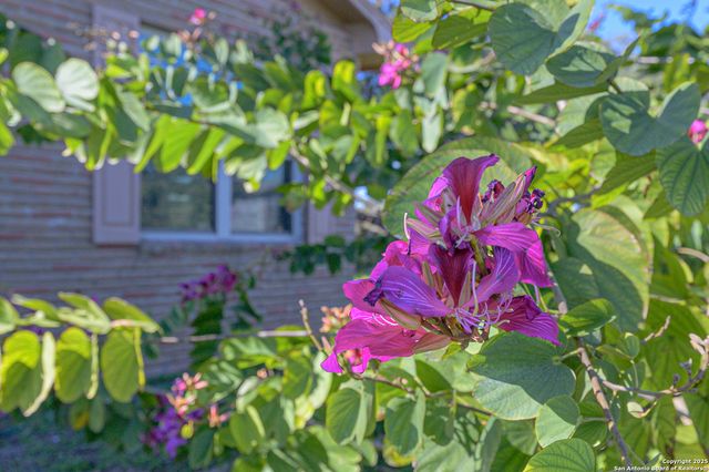 1173 Charco Rd, Tuleta, TX 78162