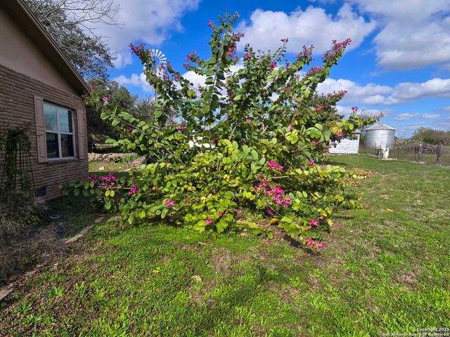 1173 Charco Rd, Tuleta, TX 78162