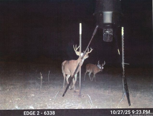 1173 Charco Rd, Tuleta, TX 78162