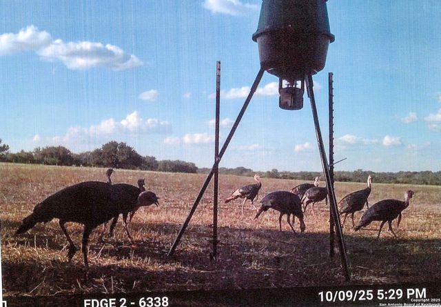 1173 Charco Rd, Tuleta, TX 78162