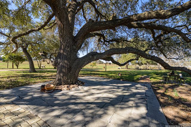 1173 Charco Rd, Tuleta, TX 78162