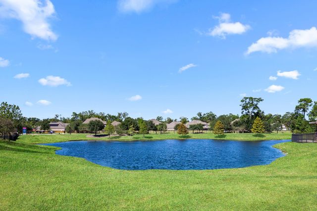 7917 Spring Run Drive, Magnolia, TX 77354