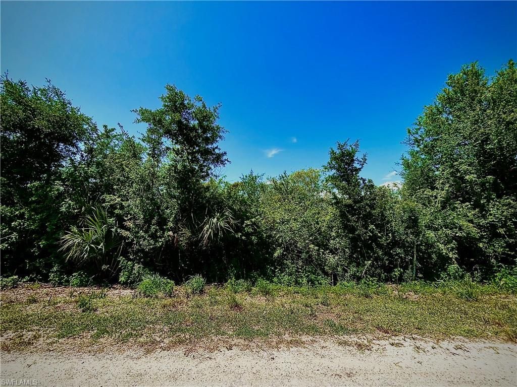 857 Casper Yost ST E, LEHIGH ACRES, FL 33974 — photo 2
