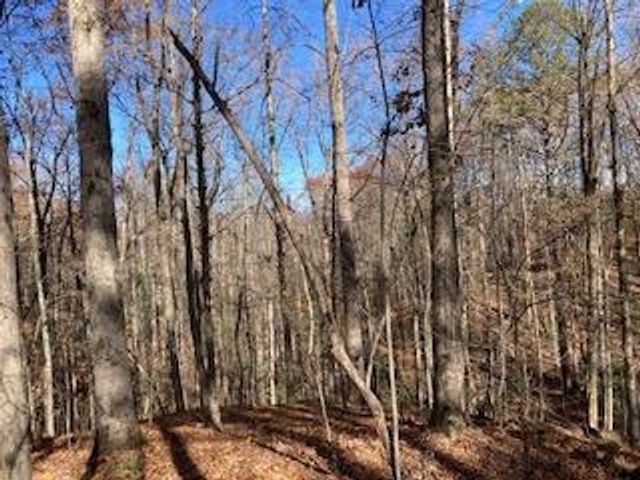 Lot 260 Catawba Circle, Ellijay, GA 30540