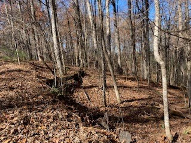 Lot 260 Catawba Circle, Ellijay, GA 30540