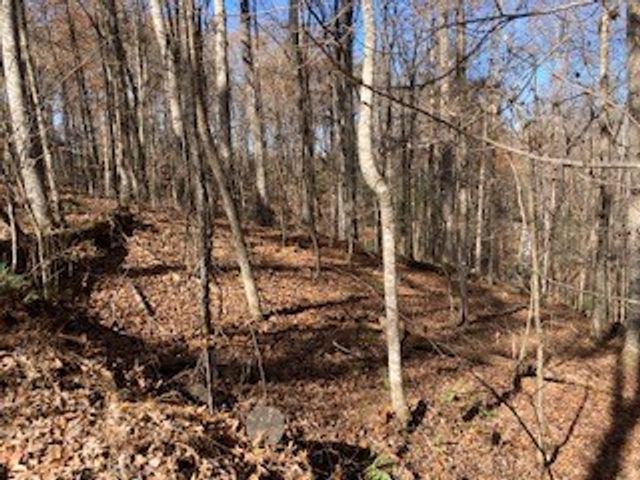 Lot 260 Catawba Circle, Ellijay, GA 30540