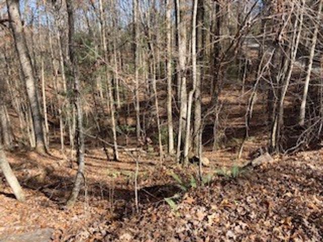 Lot 260 Catawba Circle, Ellijay, GA 30540