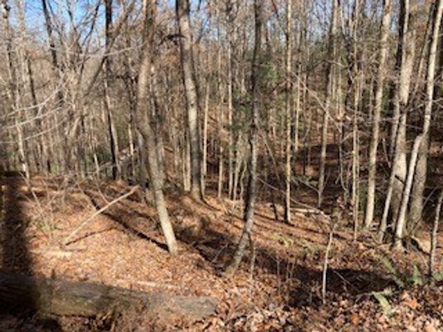 Lot 260 Catawba Circle, Ellijay, GA 30540