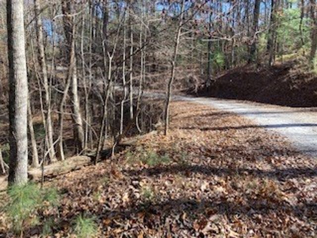 Lot 260 Catawba Circle, Ellijay, GA 30540
