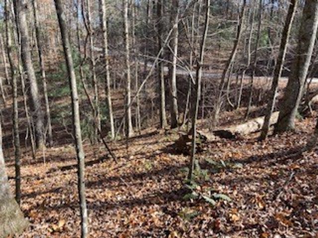 Lot 260 Catawba Circle, Ellijay, GA 30540