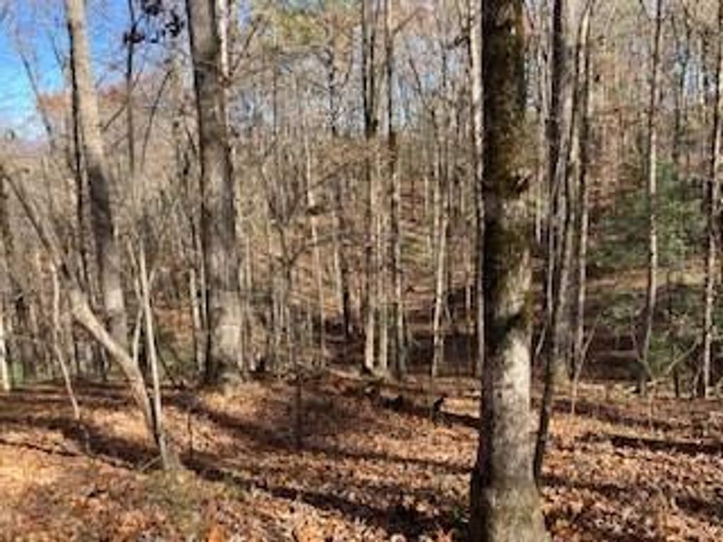 Lot 260 Catawba Circle, Ellijay, GA 30540