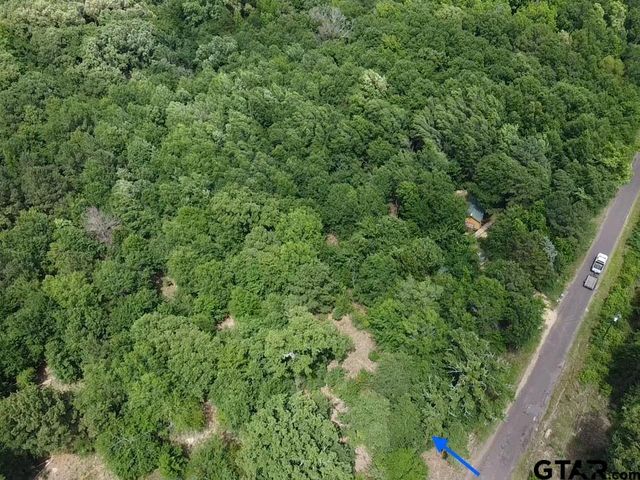 TBD CR 1460, Quitman, TX 75783