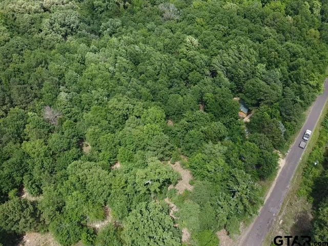 TBD CR 1460, Quitman, TX 75783