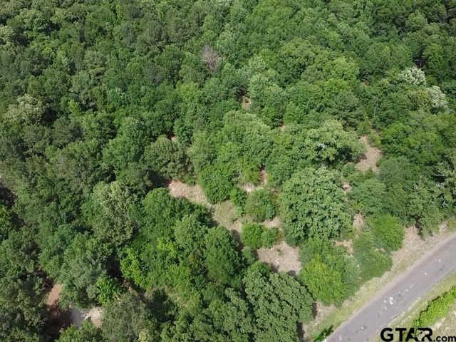 TBD CR 1460, Quitman, TX 75783