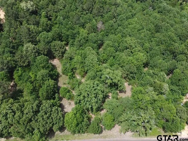 TBD CR 1460, Quitman, TX 75783