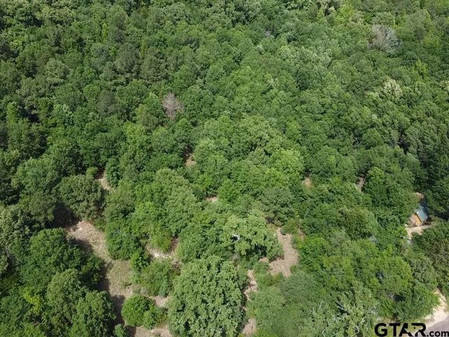 TBD CR 1460, Quitman, TX 75783