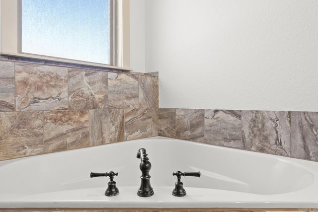 335 Vintage Cove, Conway, AR 72034