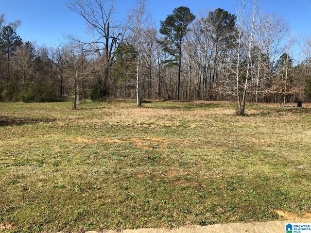10300 RISING FAWN CIRCLE, Warrior, AL 35180