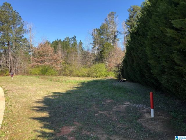 10300 RISING FAWN CIRCLE, Warrior, AL 35180