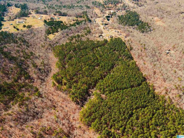 10300 RISING FAWN CIRCLE, Warrior, AL 35180