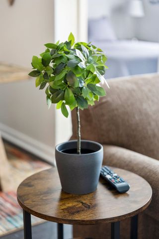 630 S Garfield Avenue, Traverse City, MI 49686