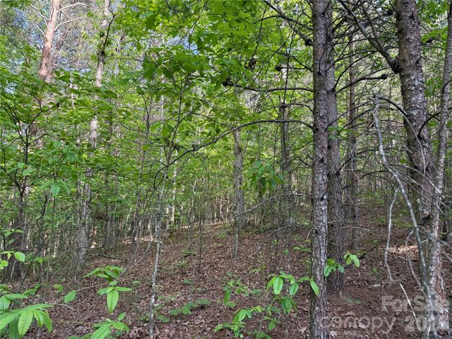 0 Shenandoah Drive 3B, Spindale, NC 28160