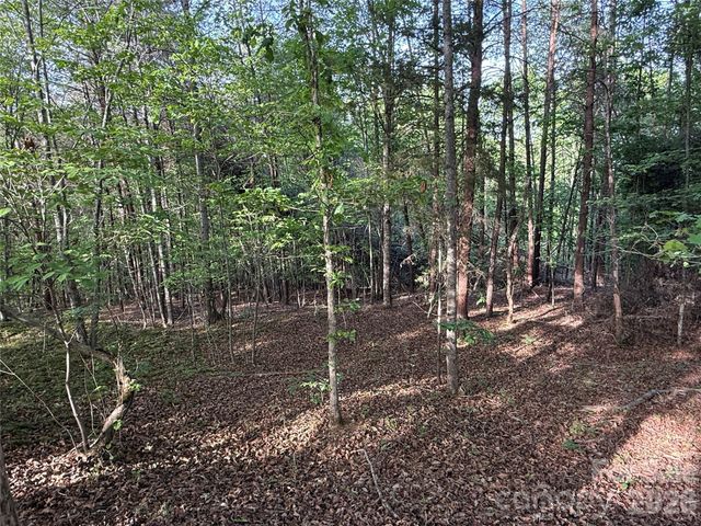 0 Shenandoah Drive 3B, Spindale, NC 28160