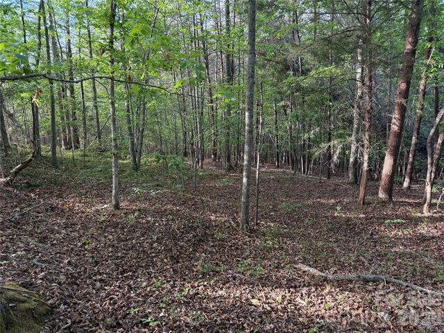 0 Shenandoah Drive 3B, Spindale, NC 28160