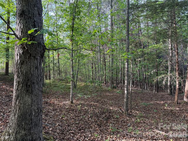 0 Shenandoah Drive 3B, Spindale, NC 28160