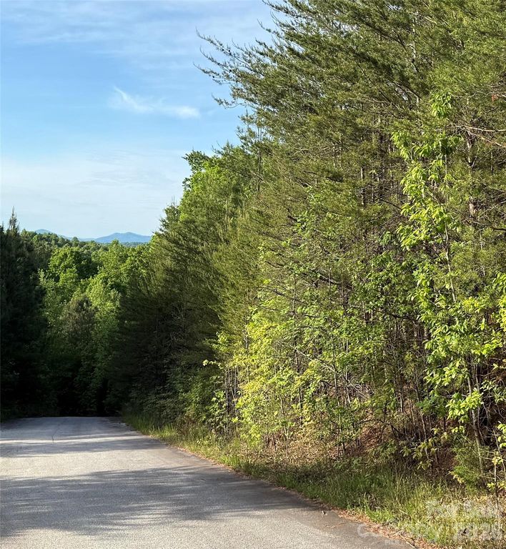 0 Shenandoah Drive 3B, Spindale, NC 28160